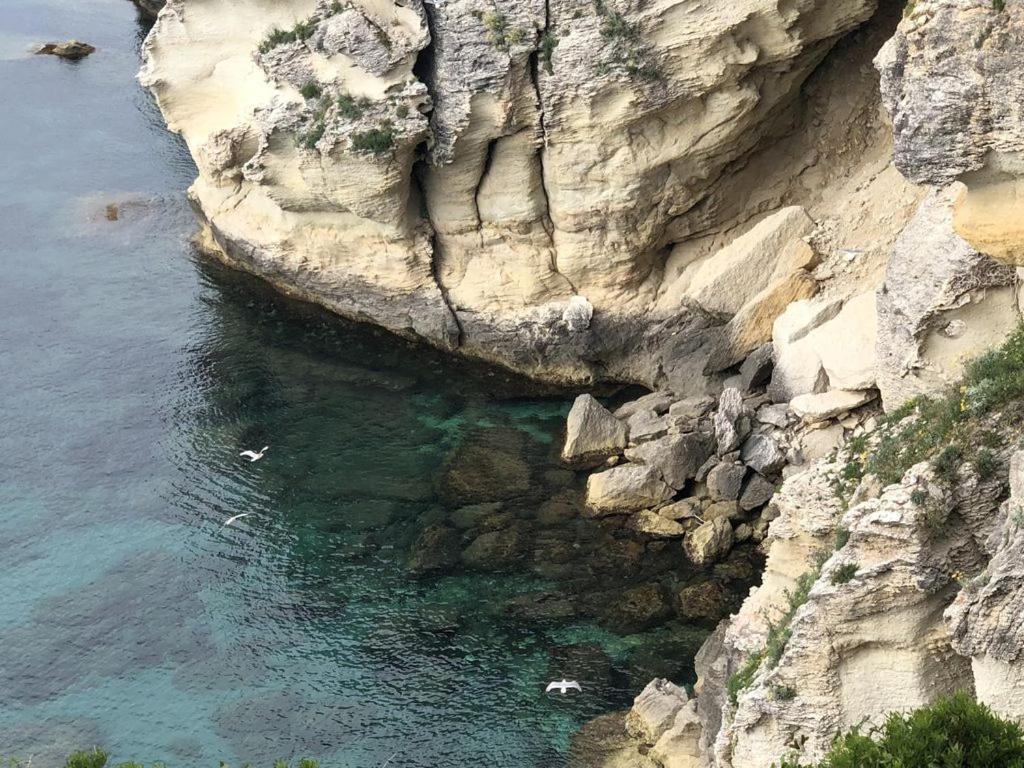 Casa Francesca Villa Saint-Florent  Dış mekan fotoğraf